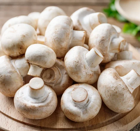 Mushroom